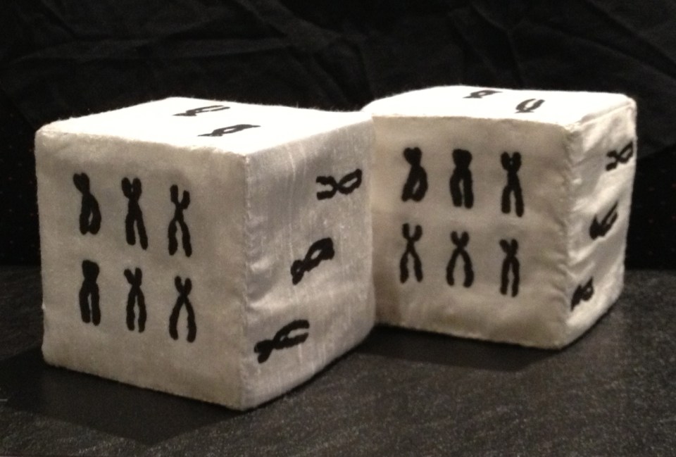 'Genetic Dice', 2013.